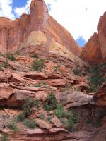 IMG_1472 [1024x768].JPG