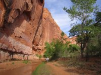 IMG_1722 [1024x768].JPG