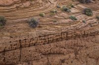 moqui-madness-13.jpg moqui-madness-13.jpg