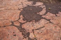 moqui-madness-41.jpg moqui-madness-41.jpg