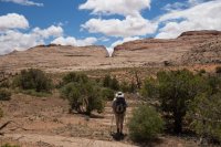 moqui-madness-54.jpg moqui-madness-54.jpg