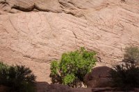 moqui-madness-65.jpg moqui-madness-65.jpg