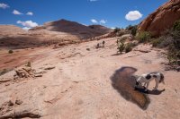 moqui-madness-67.jpg moqui-madness-67.jpg