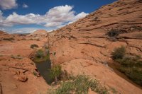 moqui-madness-69.jpg moqui-madness-69.jpg