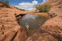 moqui-madness-75.jpg moqui-madness-75.jpg