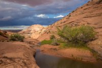 moqui-madness-76.jpg moqui-madness-76.jpg