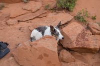 moqui-madness-77.jpg moqui-madness-77.jpg