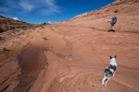 moqui-madness-80.jpg moqui-madness-80.jpg