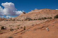 moqui-madness-84.jpg moqui-madness-84.jpg