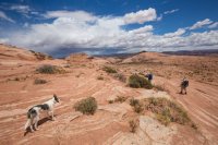 moqui-madness-94.jpg moqui-madness-94.jpg