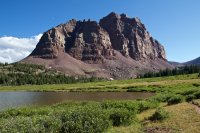 IMG_7955.jpg IMG_7955.jpg