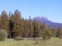 IMG_20150611_082817_711.jpg IMG_20150611_082817_711.jpg