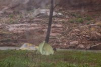 IMG_1243.jpg IMG_1243.jpg