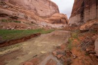 IMG_1311.jpg IMG_1311.jpg