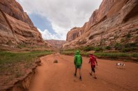 IMG_1316.jpg IMG_1316.jpg