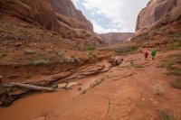 IMG_1322.jpg IMG_1322.jpg