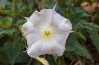 IMG_1366.jpg IMG_1366.jpg