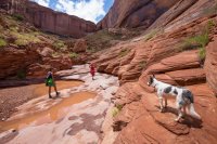 IMG_1375.jpg IMG_1375.jpg