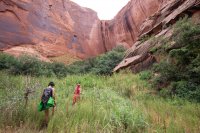 IMG_1399.jpg IMG_1399.jpg