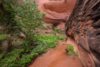 IMG_1435.jpg IMG_1435.jpg