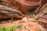 IMG_1456.jpg IMG_1456.jpg