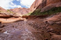 IMG_1473.jpg IMG_1473.jpg