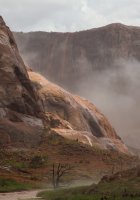 IMG_1585.jpg IMG_1585.jpg