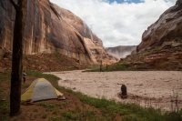 IMG_1603.jpg IMG_1603.jpg