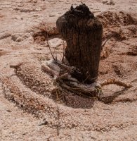 IMG_1622.jpg IMG_1622.jpg