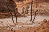 IMG_1713.jpg IMG_1713.jpg