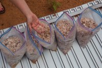 IMG_1724.jpg IMG_1724.jpg