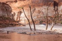 IMG_1750.jpg IMG_1750.jpg