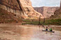 IMG_1799.jpg IMG_1799.jpg