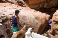 IMG_1889.jpg IMG_1889.jpg