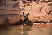 IMG_1941.jpg IMG_1941.jpg