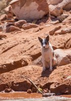 IMG_1957-Edit.jpg IMG_1957-Edit.jpg