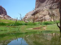 P1060359.JPG P1060359.JPG