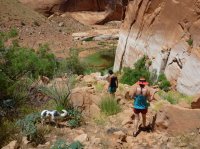 P1060382.JPG P1060382.JPG