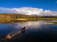 Sharpened version2.jpg Sharpened version2.jpg