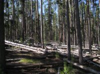 Old_Faithful_Loop_013.jpg Old_Faithful_Loop_013.jpg