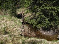 Old_Faithful_Loop_020.jpg Old_Faithful_Loop_020.jpg