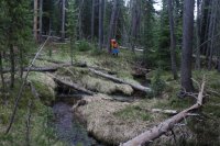 Old_Faithful_Loop_022.jpg Old_Faithful_Loop_022.jpg