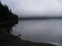 Old_Faithful_Loop_029.jpg Old_Faithful_Loop_029.jpg