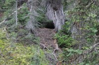 Old_Faithful_Loop_030.jpg Old_Faithful_Loop_030.jpg