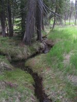 Old_Faithful_Loop_036.jpg Old_Faithful_Loop_036.jpg