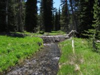 Old_Faithful_Loop_055.jpg Old_Faithful_Loop_055.jpg