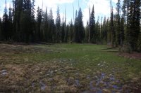 Old_Faithful_Loop_057_b.jpg Old_Faithful_Loop_057_b.jpg