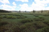 Old_Faithful_Loop_065.jpg Old_Faithful_Loop_065.jpg