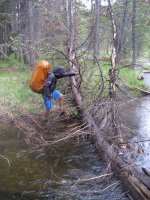 Old_Faithful_Loop_069.jpg Old_Faithful_Loop_069.jpg