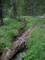 Old_Faithful_Loop_071.jpg Old_Faithful_Loop_071.jpg